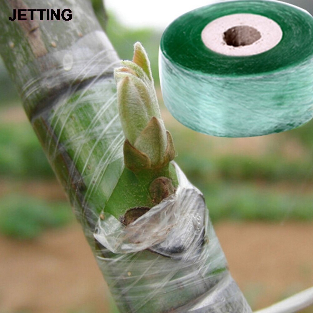 2CM x 100M / 1 Roll Grafting Tape Garden Tools Fruit Trees Secateurs Graft Branch Gardening bind belt PVC Tie Tape