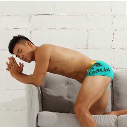 Creative New Men's Low Waist Cotton Underwear