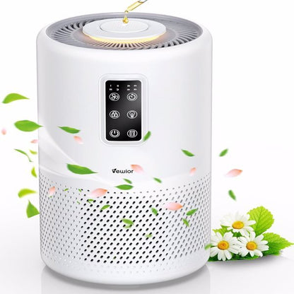 Household Large Room Air Purifier Banned On Amazon